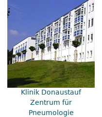 donaustauf menue